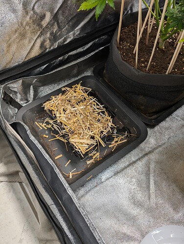 PXL_20240625_205506097