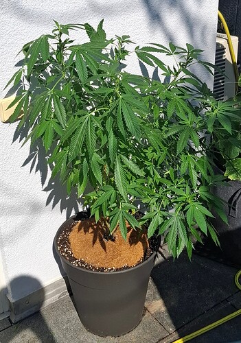 Growreport Bild 2