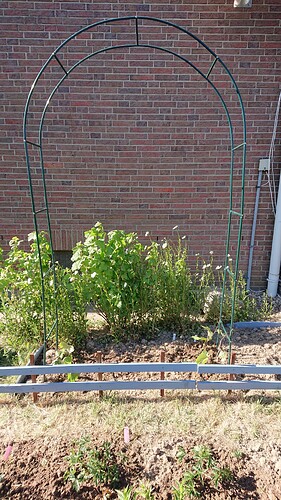 Growreport Bild 17