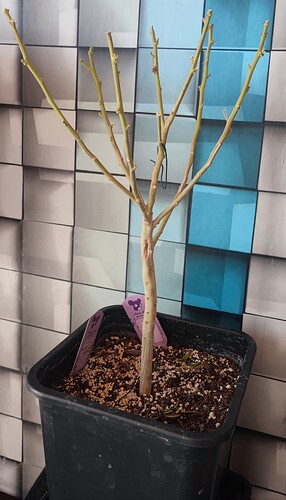 Growreport Bild 3