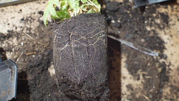 Growreport Bild 3