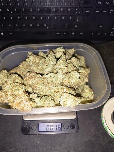 Growreport Bild 3