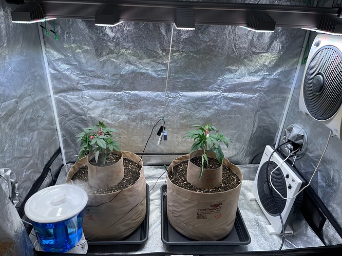 Growreport Bild 11