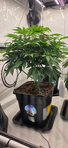 Growreport Bild 26