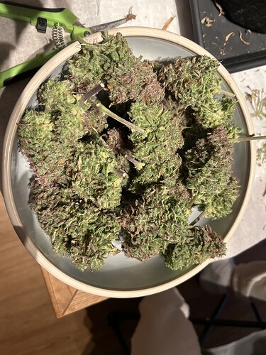 Growreport Bild 3