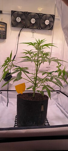 Growreport Bild 3
