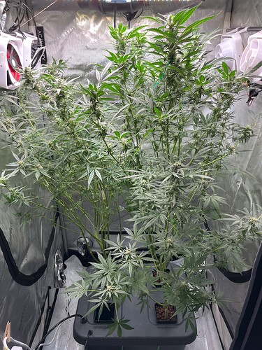 Growreport Bild 7