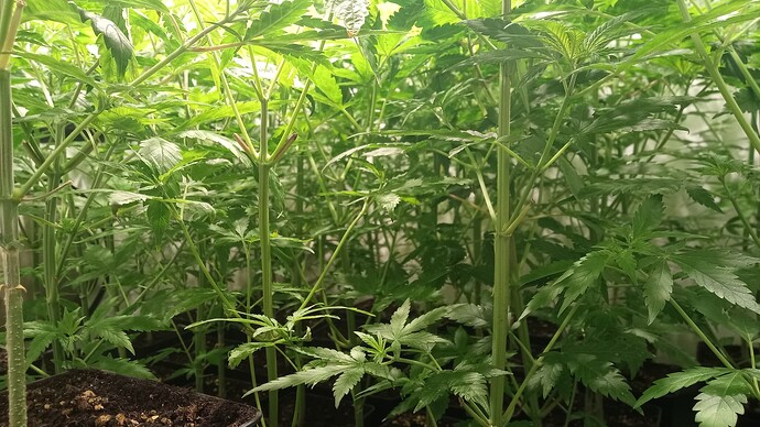 Growreport Bild 11