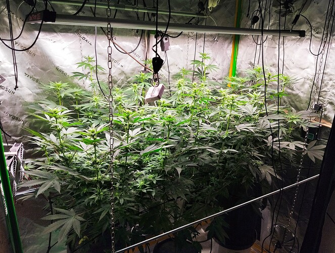 Growreport Bild 2