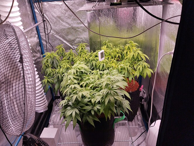 IMG_20241110_172509 - Kopie