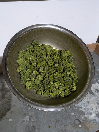 Growreport Bild 5