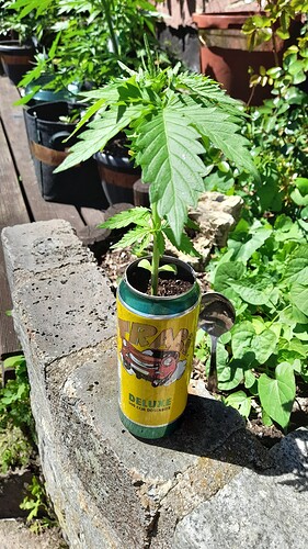 Growreport Bild 16