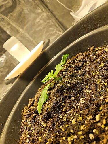 Growreport Bild 10