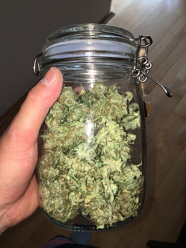 Growreport Bild 13