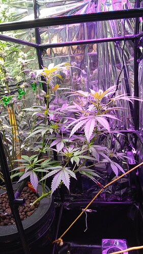 Growreport Bild 7