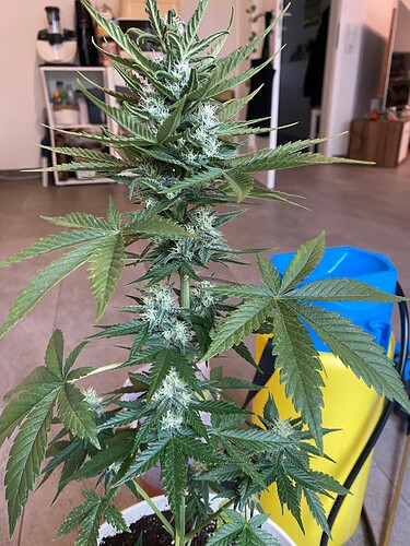 Growreport Bild 2