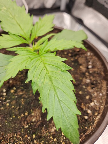 Growreport Bild 12