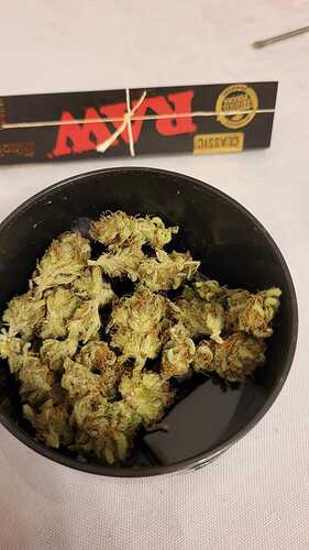 Growreport Bild 25