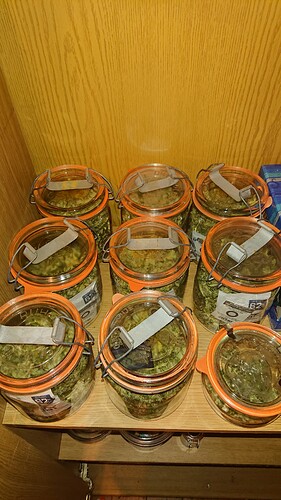 Growreport Bild 45