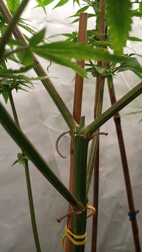 Growreport Bild 11