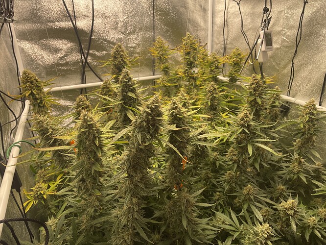 Growreport Bild 13