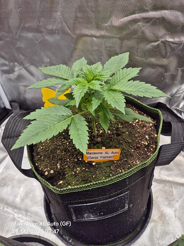 Growreport Bild 2
