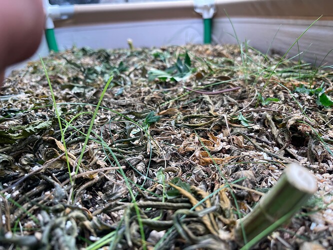 Growreport Bild 9