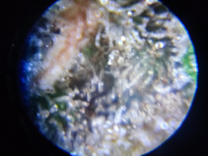 Growreport Bild 75