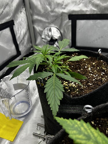 Growreport Bild 14