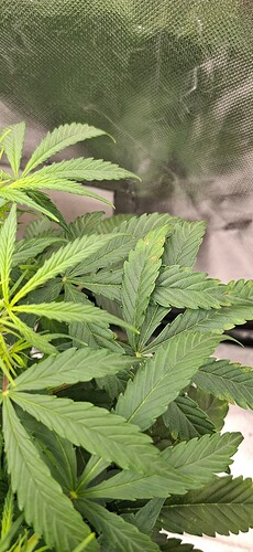Growreport Bild 9