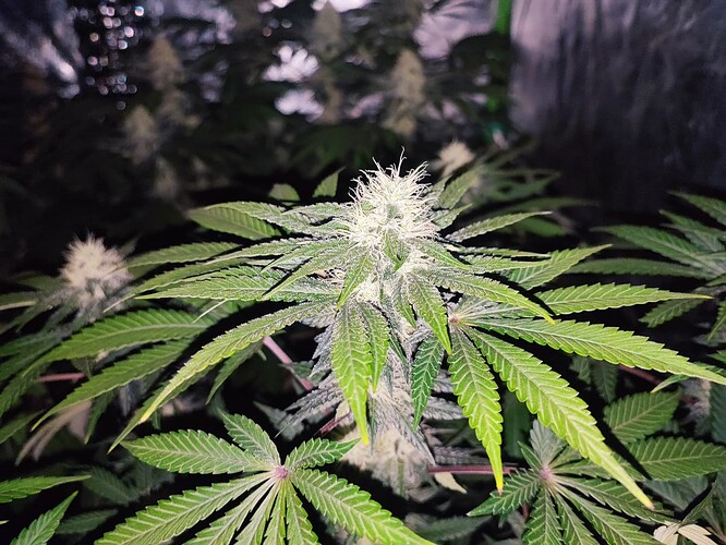 Growreport Bild 16