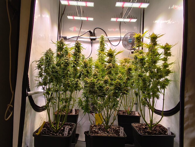 Growreport Bild 21