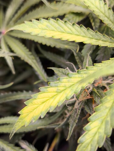 Growreport Bild 16