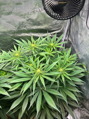 Growreport Bild 26
