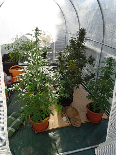 Growreport Bild 1