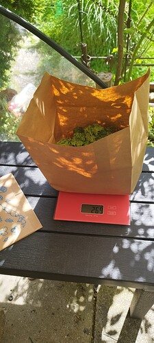 Growreport Bild 4