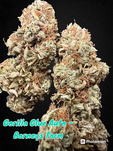 Growreport Bild 2