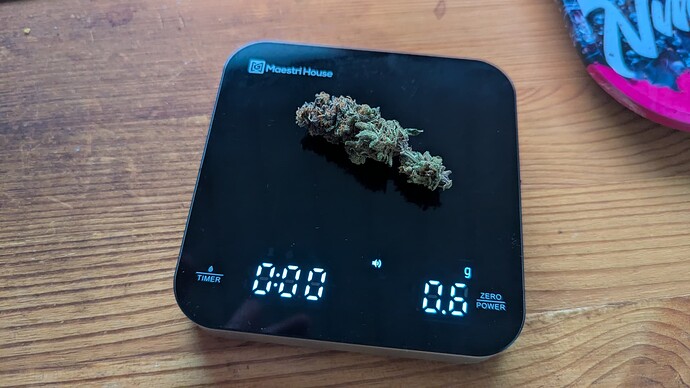 PXL_20250815_154406754