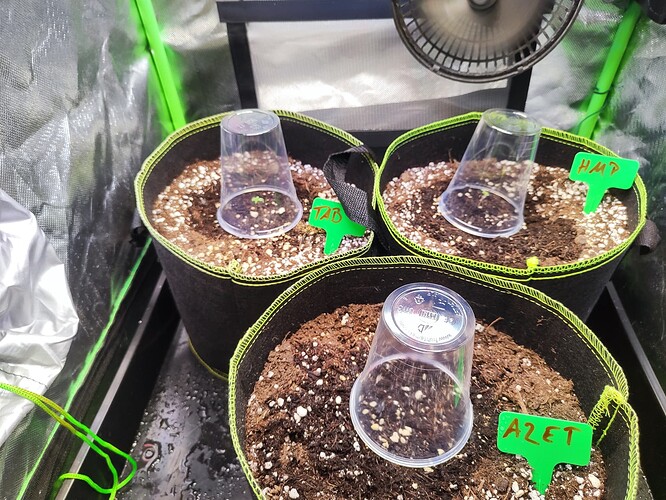 Growreport Bild 3