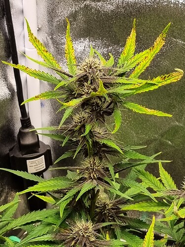 Growreport Bild 12