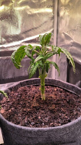 Growreport Bild 7