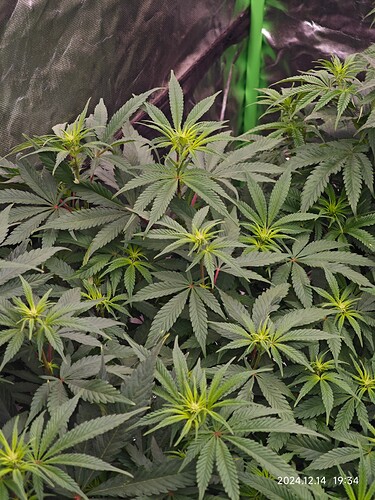 Growreport Bild 30