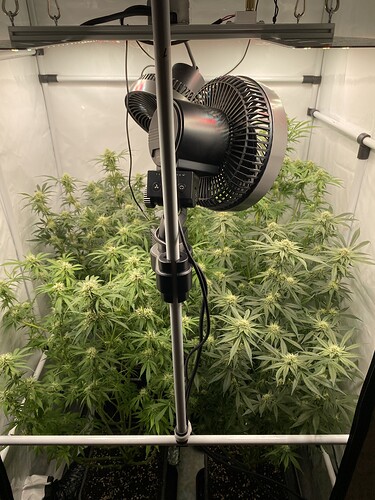 Growreport Bild 6