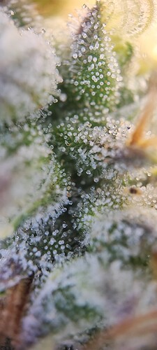 Growreport Bild 18