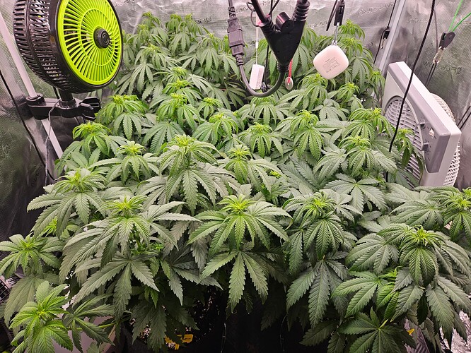 Growreport Bild 14