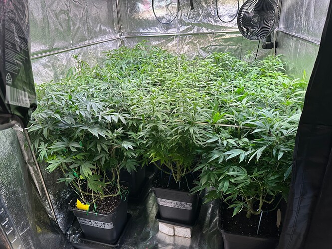 Growreport Bild 56