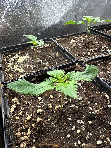 Growreport Bild 17