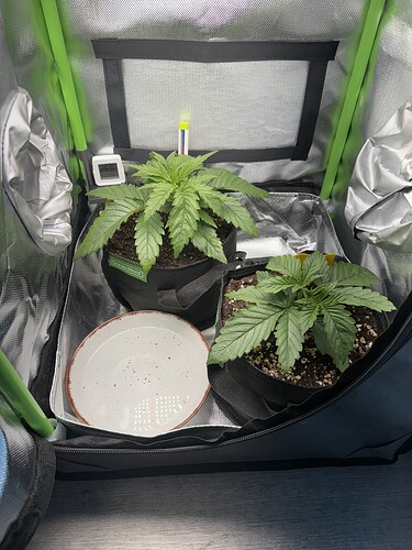 Growreport Bild 6