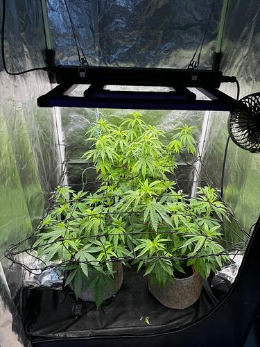 WhatsApp Image 2024-07-31 at 13.50.19 (2)