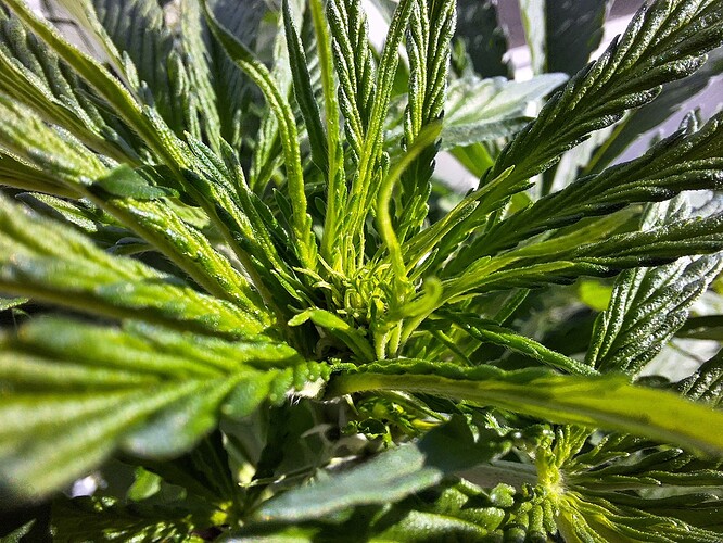 Growreport Bild 13